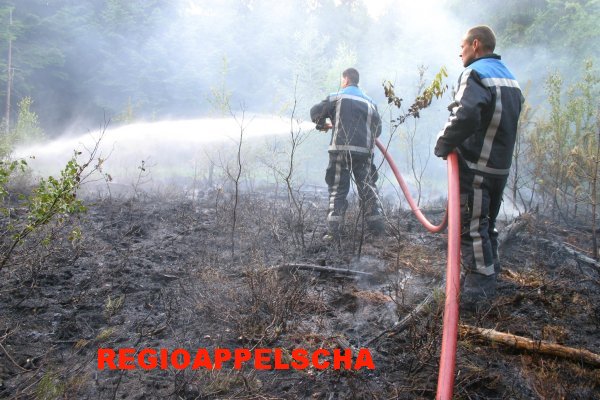 Regio Appelscha